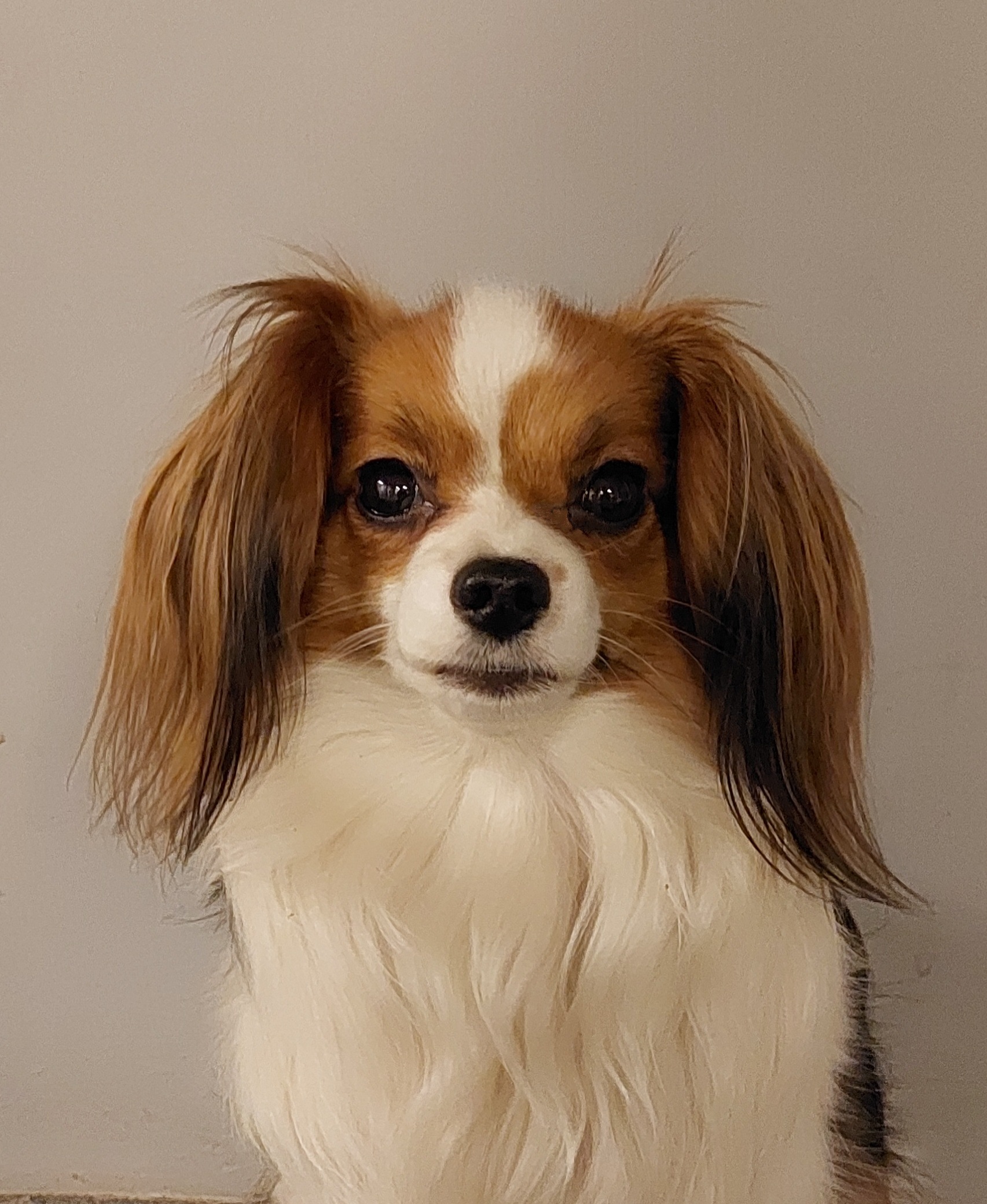 Eyla