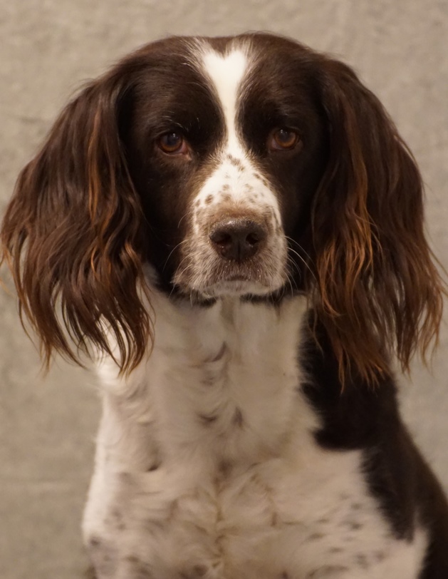 Peggy