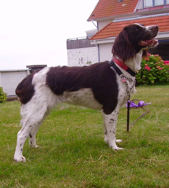 Peggy3